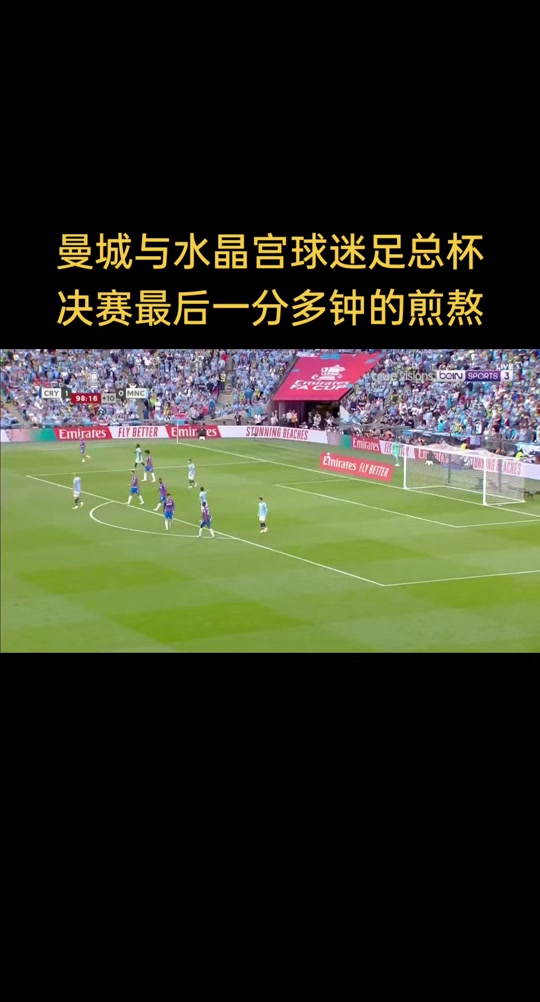 水晶宫主场一球小胜，结束连败状态的简单介绍