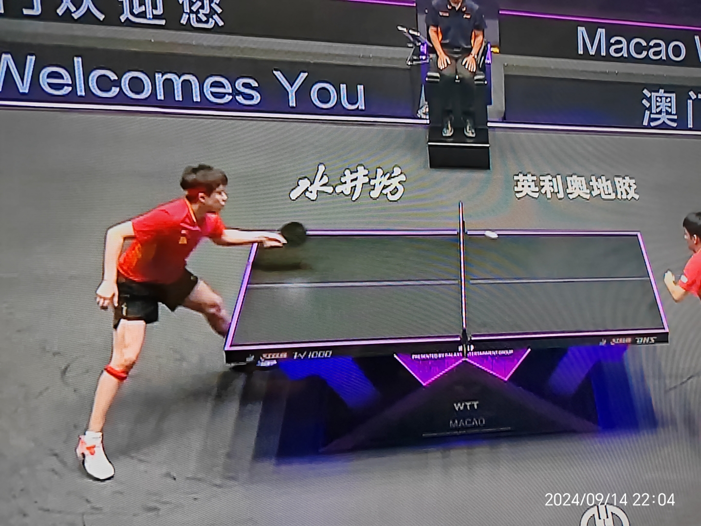 包含比利时乒乓球队翻盘德国乒乓球队，波尔绝境逆转的词条